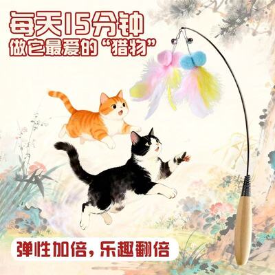 CFA赛级逗猫棒长杆猫玩具小飞虫羽毛替换头耐咬幼猫用品猫咪自嗨