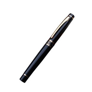 HERO英雄1021练字速写绘画弯笔尖美工钢笔艺术签名笔免费刻字