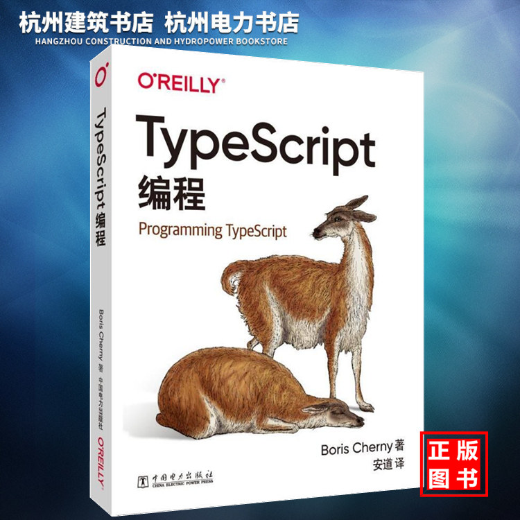 TypeScript编程 TypeScript语言编程教程书籍 TypeScript基础知识和开发技巧书 TypeScript编程入门[美]鲍里斯切尔尼著