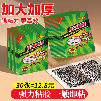 苍蝇纸粘蝇纸粘胶纸强力粘胶