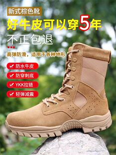 新款户外陆战术鞋沙漠登山靴男牛反绒皮靴防刺穿新式棕色作战训靴