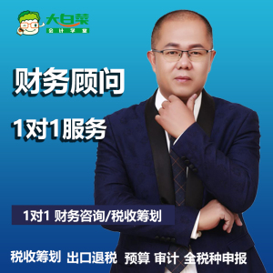 会计服务财税咨询 税收筹划 财务顾问 报税咨询1对1财税服务
