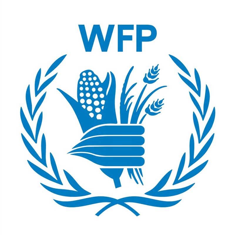 防水反光汽车贴纸拉花箱包电动摩托a172联合国世界粮食计划署wfp