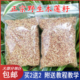 浙江诸暨特产木莲豆腐木莲子木莲籽冰粉籽薜荔果籽凉粉籽爱玉子籽