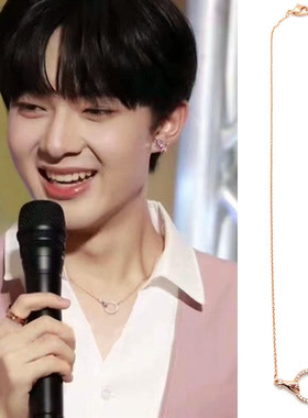 zeenunew林景云同款执子之手锆石圆圈项链女气质轻奢锁骨链海景房