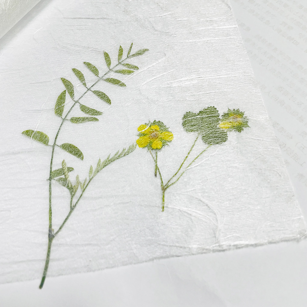 日本典具纸极薄和纸压花背景纸
