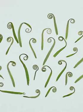 花未落INS风森系干花压花
