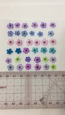 花未落INS风森系干花压花