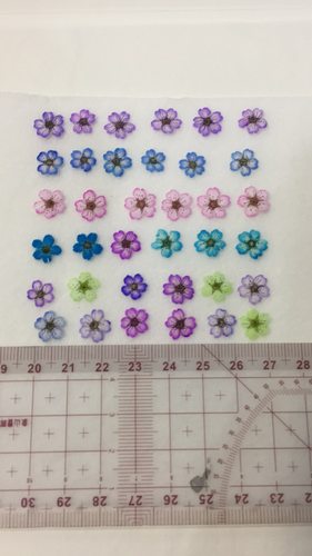 花未落INS风森系干花压花