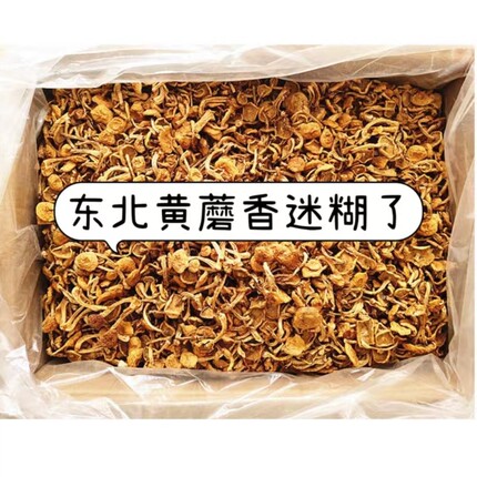 25新货东北滑子菇黄蘑干货菌菇无根滑子蘑小黄蘑香菇小鸡炖蘑菇
