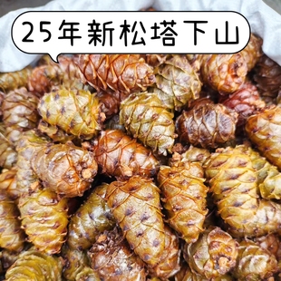 2025新货大兴安岭松树塔盐水煮松塔马尾松塔偃松塔咸味500g包邮
