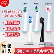 高露洁成人电动牙刷替换刷头B150/250R美白深洁护龈软毛细毛正品
