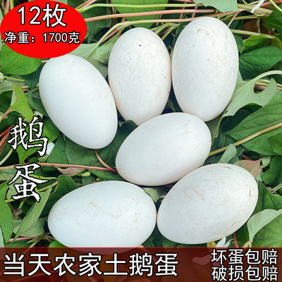 四川农家土鹅蛋孕妇宝宝营养蛋