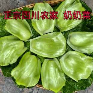 四川广安奶奶菜新鲜青菜梗农家自种做泡菜用腌泡菜应季 蔬菜芥菜梗