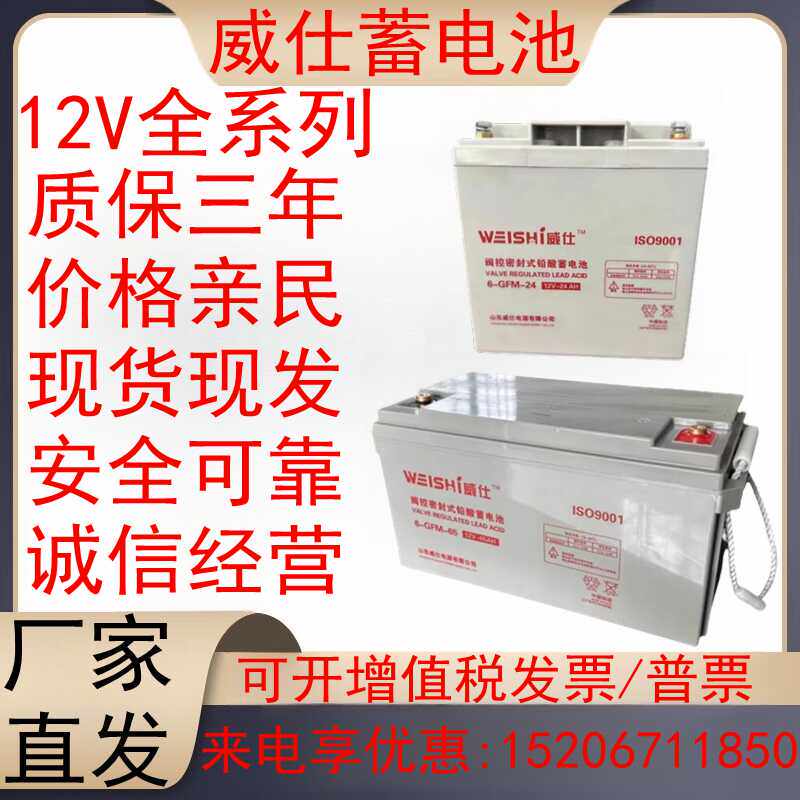 蓄电池100ah全系列威仕计算机