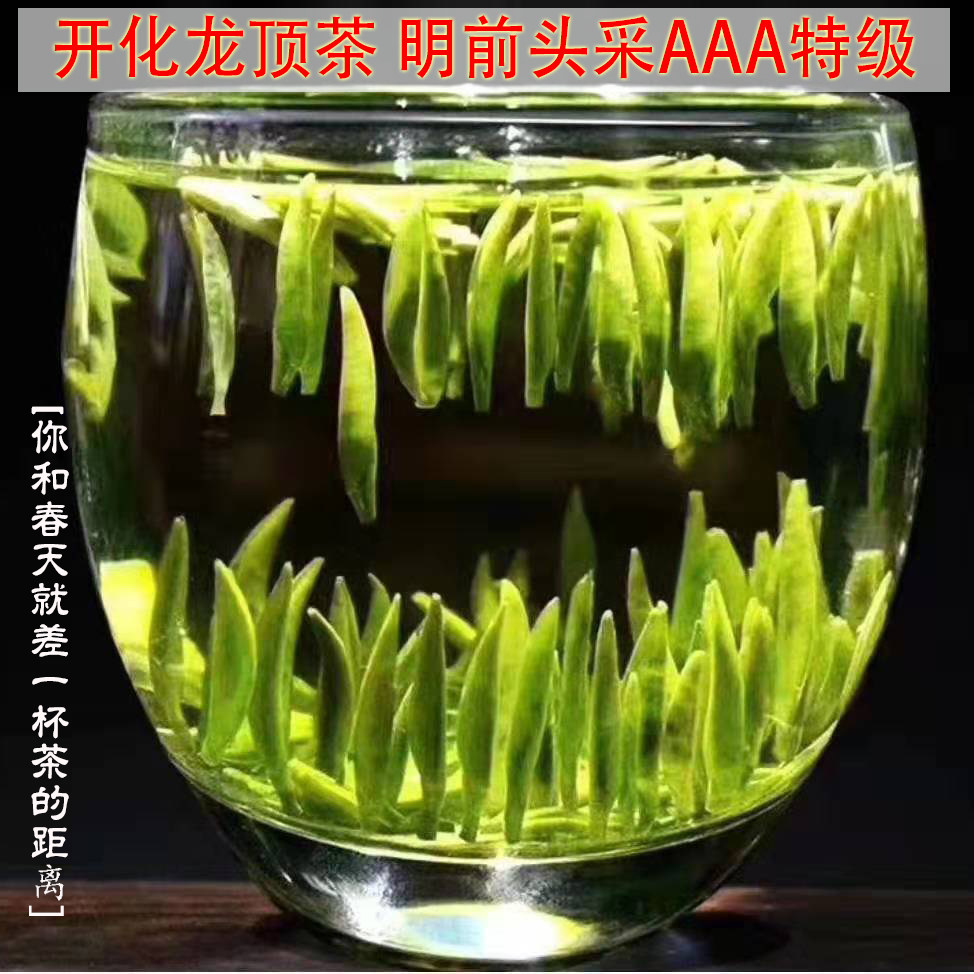 包邮2021新茶开化龙顶明前茶 龙鼎春茶头采绿茶 高山云雾芽头饱满