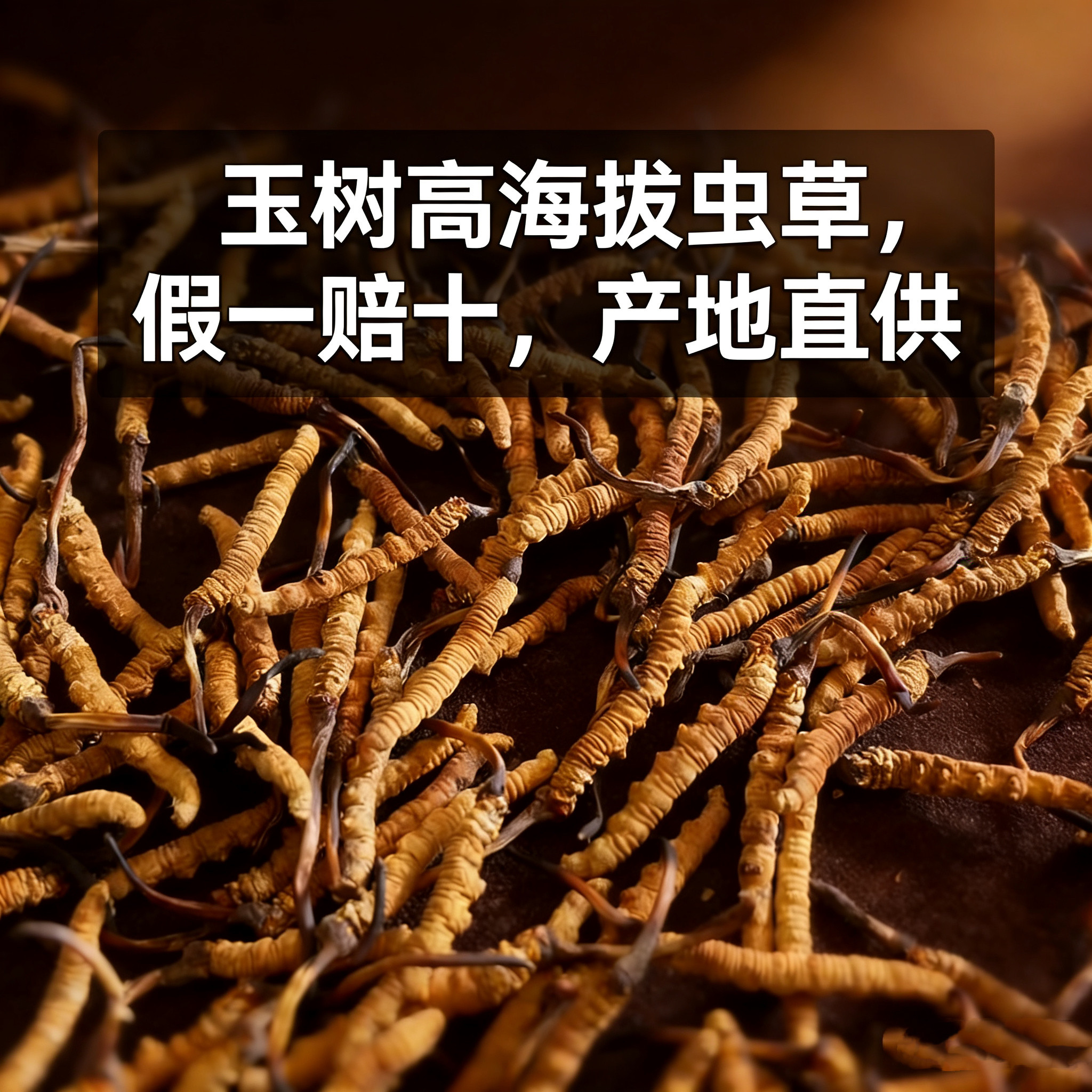 青海玉树杂多高海拔冬虫夏草 精选干货 无熏硫 产地直供 品质保障