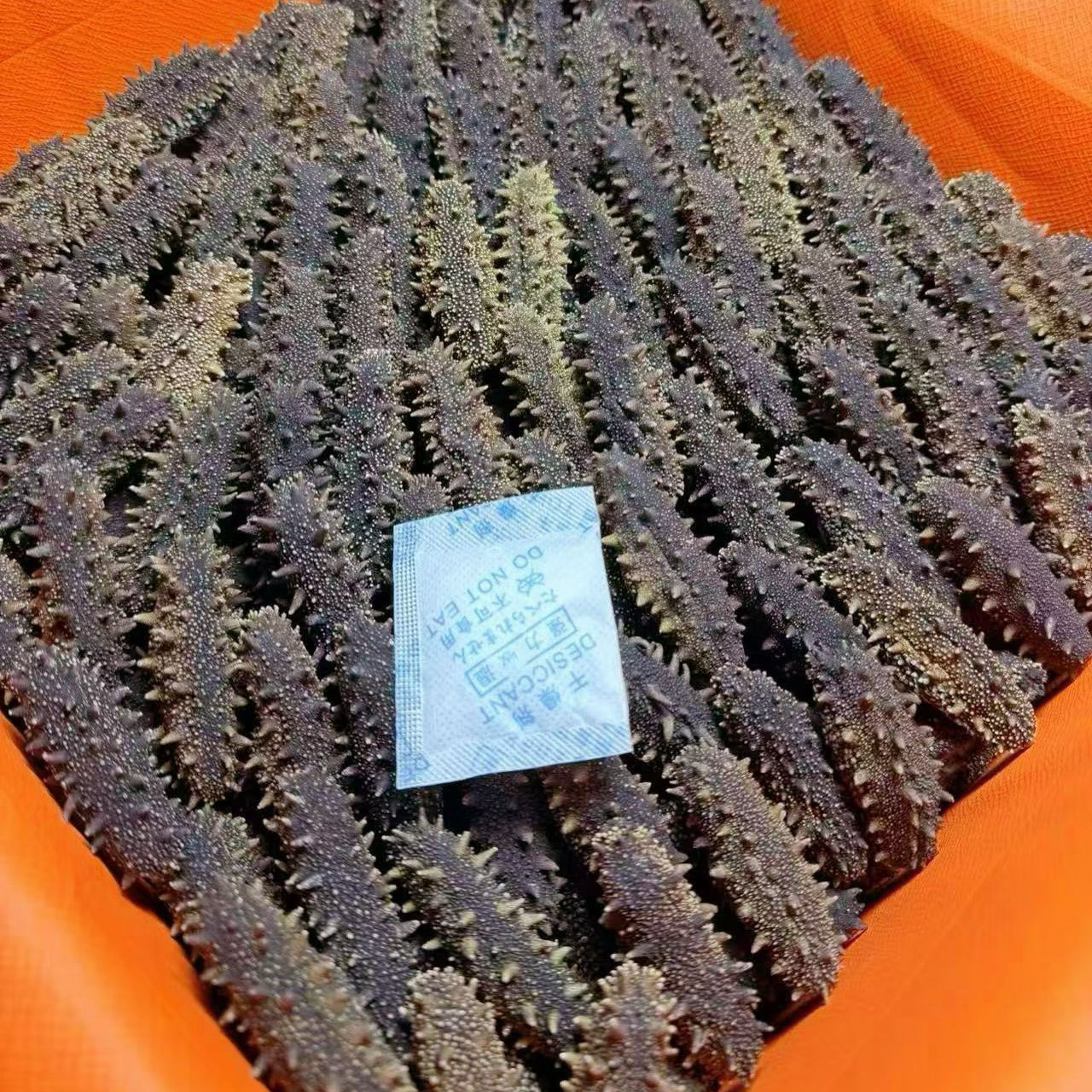 正品 蓝国标大连头茬底播红海参干品/即食海参