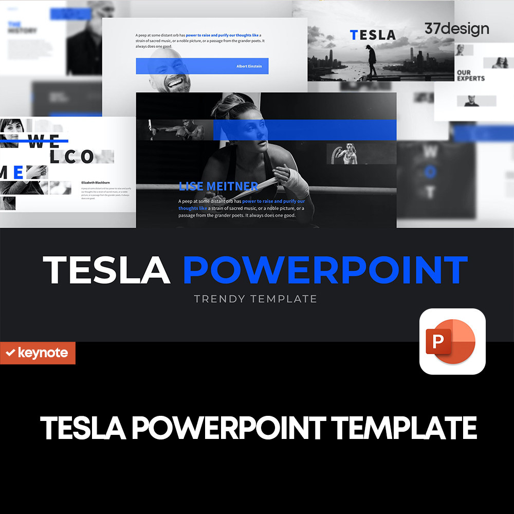 TESLA 时尚商务电子商务企业公司信息图表趋势报告PPT幻灯片模版
