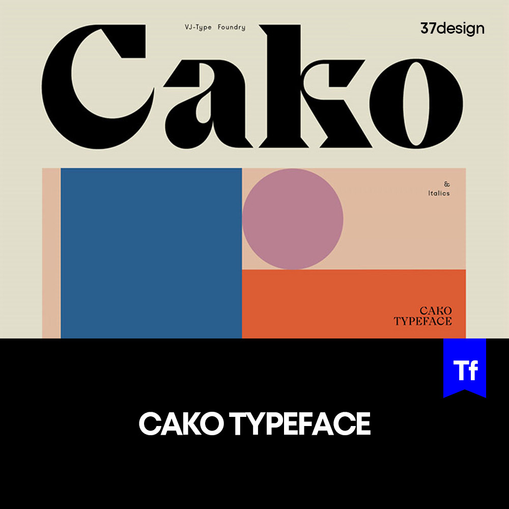 CAKO 现代潮流逆反差酸性复古个性logo标识排版标题衬线英文字体