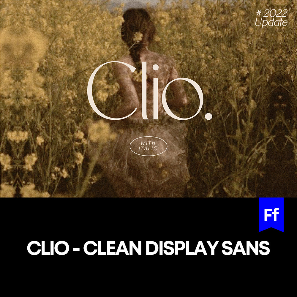 clio 美学女性优雅衬线英文字体logo标识排版版式字体安装mac下载