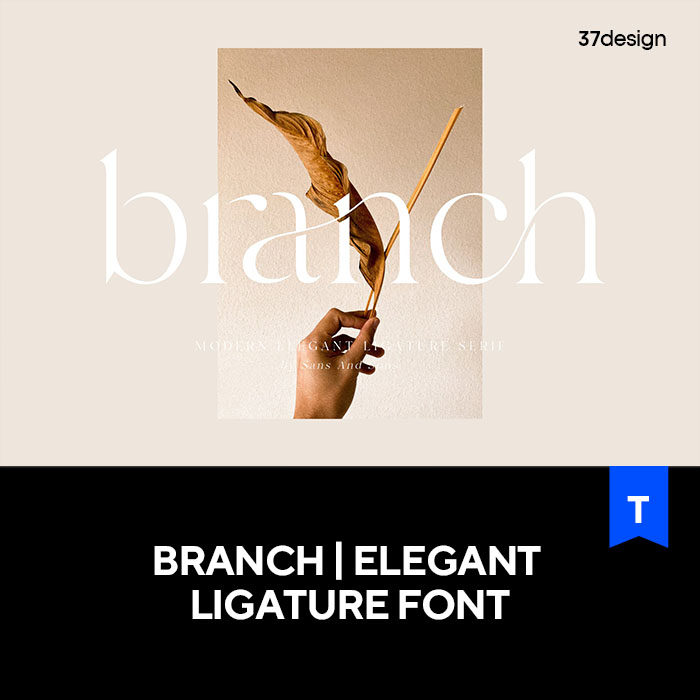 优雅女性时尚复古衬线英文字体美容品牌logo标识版式海报主题字体