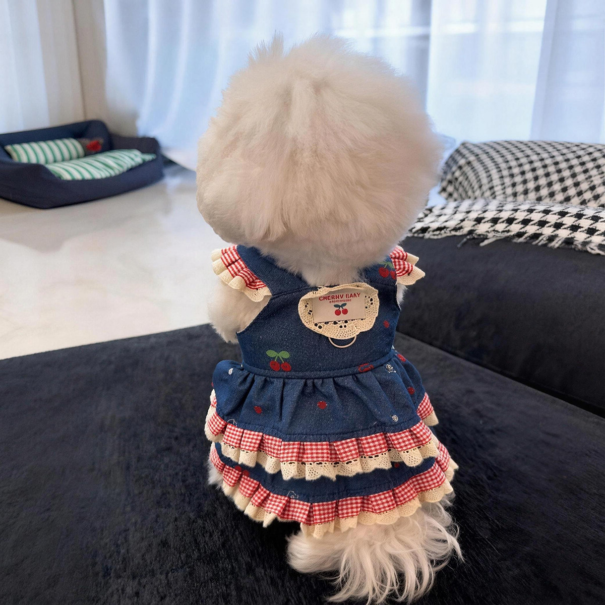 比熊泰迪狗狗衣服裙子2026新狗宠物服装/雨衣