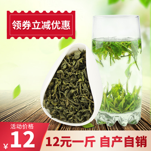 2025新茶叶广东绿茶浓香耐泡型春茶高山云雾炒青香茶散装袋装500g