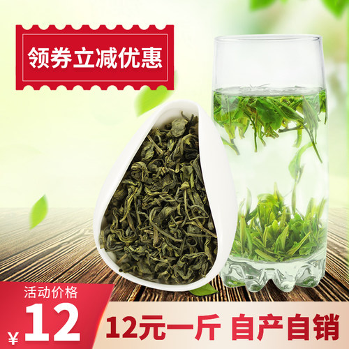 浓香耐泡高山云雾袋装日照绿茶