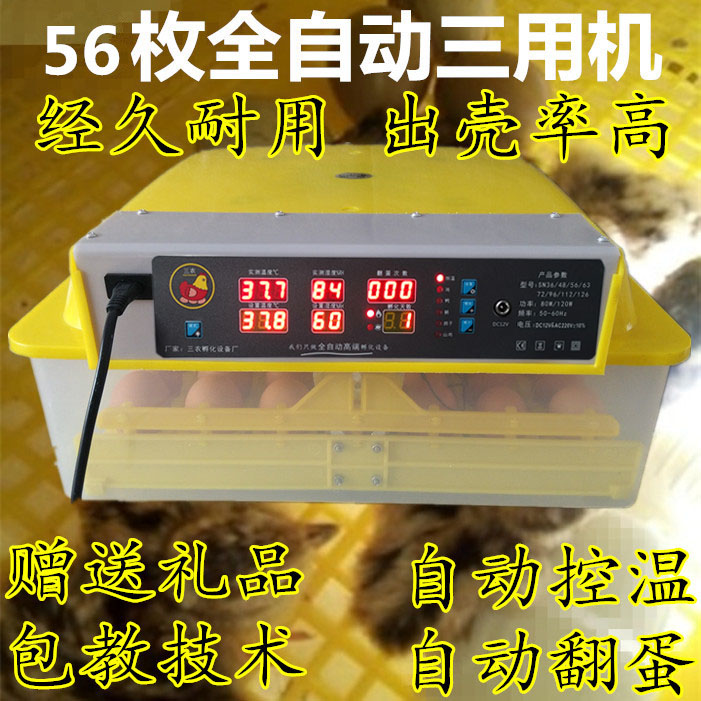 抱小鸡孵化机芦丁鸡卵化器孵蛋器
