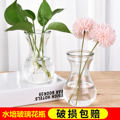 玻璃水培花瓶透明瓶子