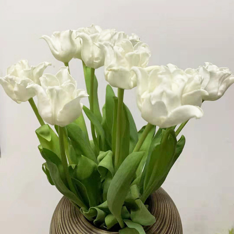 进口稀有网红高级复古布朗尼郁金香美人鱼卷边郁金香美人鱼岛鲜花