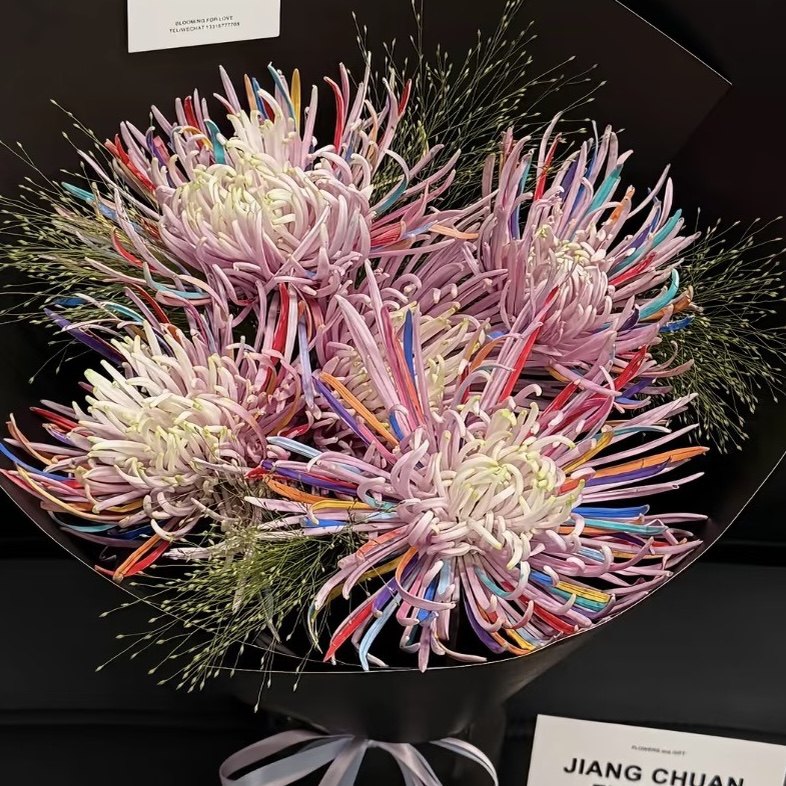 手绘涂鸦烟花菊鲜切花花瓶插花跨年烟花展厅酒店小朋友闺蜜男朋友,鲜花速递/花卉仿真/绿植园艺,花材,淘宝优惠券,粉丝福利购,淘宝优惠卷