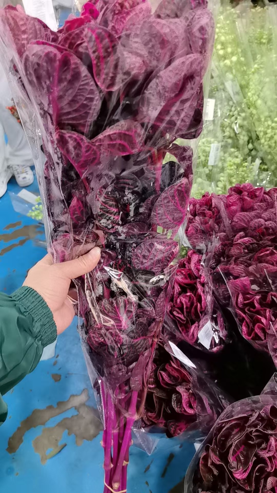 状元红叶子鲜花花瓶插花红叶子鲜花水培