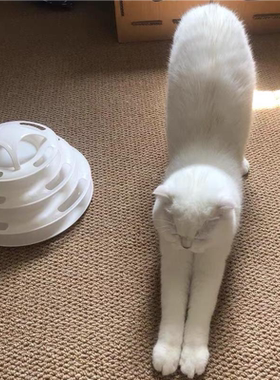 华德仿剑麻纯色加厚耐磨猫抓垫猫抓板阳台飘窗玄关厨房地毯定制