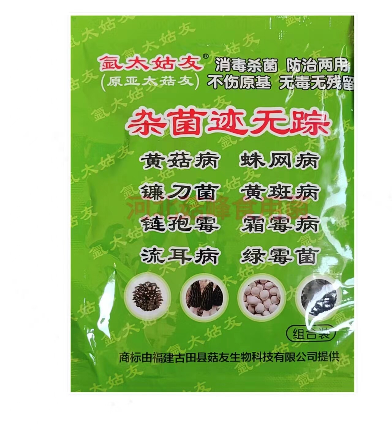 杂菌迹无踪蛛网病镰刀菌流耳链孢霉霜霉羊肚菌黄腐消蘑菇黄菇锈斑