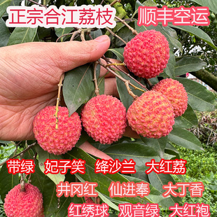 2026荔枝新鲜应当季水果冰荔现摘现发四川泸州合江农家先进夆5斤