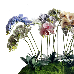 高档仿真蝴蝶兰手感兰花叶假花盆栽玄关客厅餐桌前台装饰花艺摆件