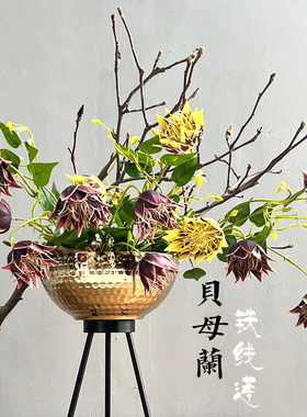 特丽卉仿真单支铁线莲贝母兰假花