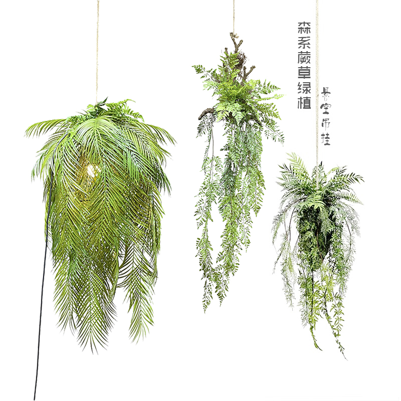 悬空蕨草清新绿植物室内花园庭院