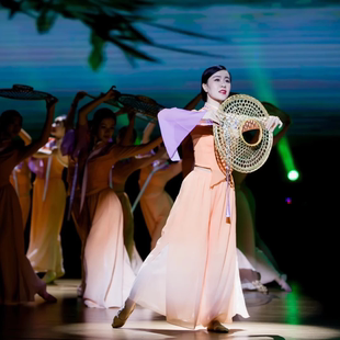 专业定制女子群舞 舞蹈演出表演服装 古典舞我们 田野同款