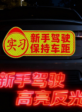 新手女司机实习反光贴车贴创意风