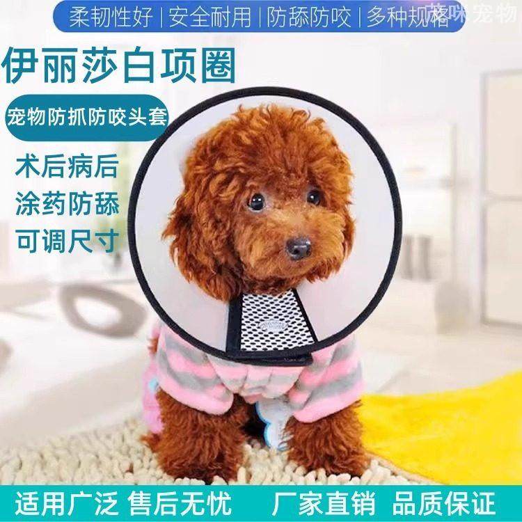 伊丽莎白圈狗狗猫咪项圈脖套软伊莉莎白圈宠物头套,宠物/宠物食品及用品,宠物伊丽莎白圈,淘宝优惠券,粉丝福利购,淘宝优惠卷
