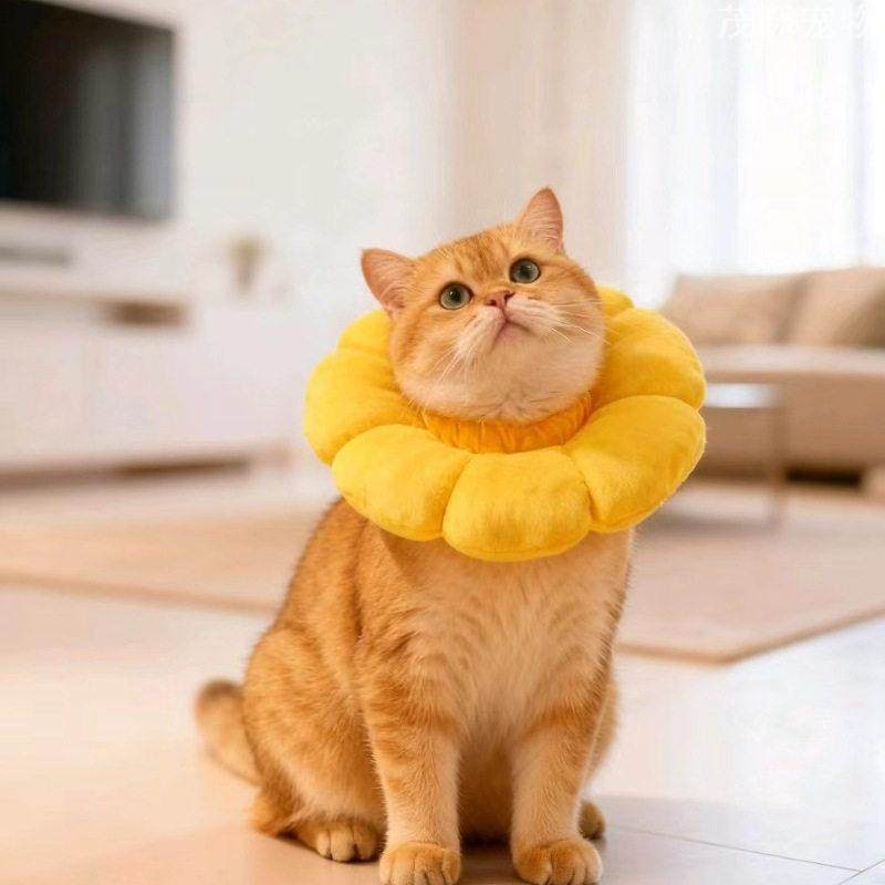 太阳花伊丽莎白圈防舔除跳蚤猫咪绝育颈项圈隔离圈宠物护理用品,宠物/宠物食品及用品,宠物伊丽莎白圈,淘宝优惠券,粉丝福利购,淘宝优惠卷