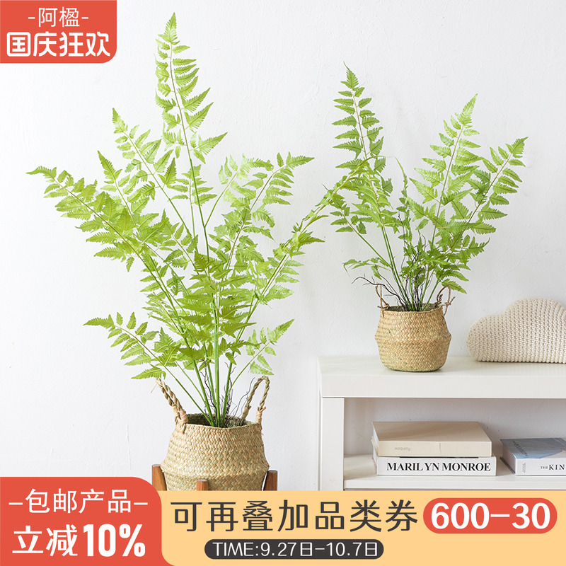 高仿真蕨类植物盆栽室内造景摆件