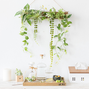 阿楹 饰 墙上仿真绿植花器创意壁挂植物遮丑吊挂件衣柜背景墙面装