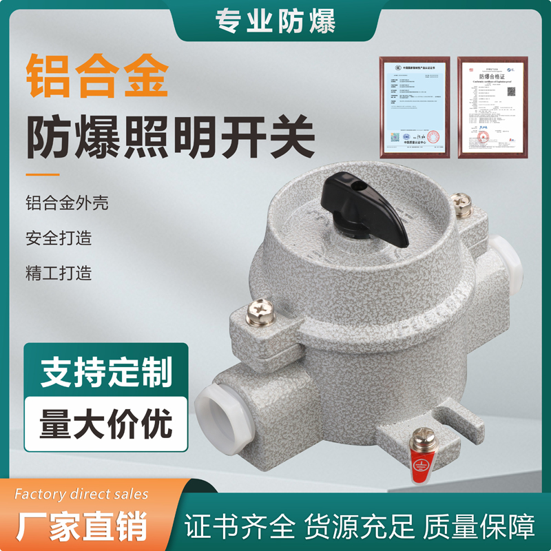 防爆照明开关SW-10防水220V 380V防爆开关墙壁插座10A16A控制按钮
