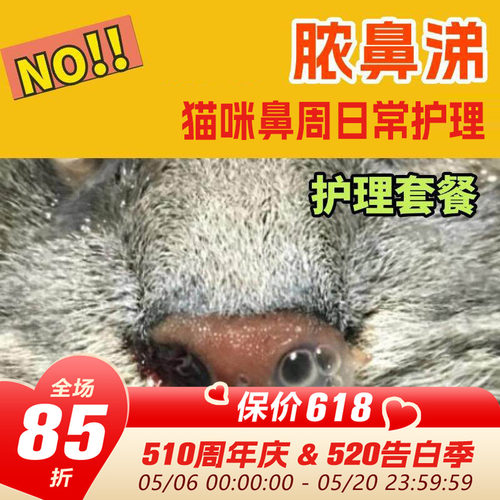领养之家 猫鼻炎鼻窦炎脓鼻涕护理清理营养免疫支持鼻支疱疹杯状