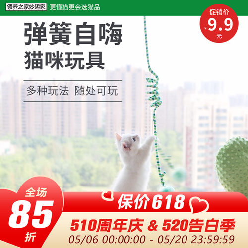 挂门猫玩具荡秋千解闷悬挂弹力