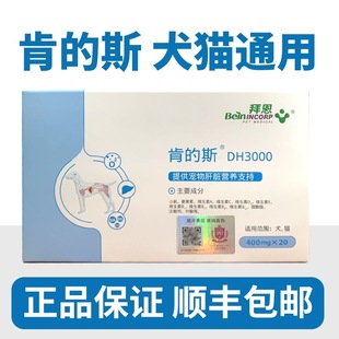 领养之家 斯犬猫DH3000 拜恩肯